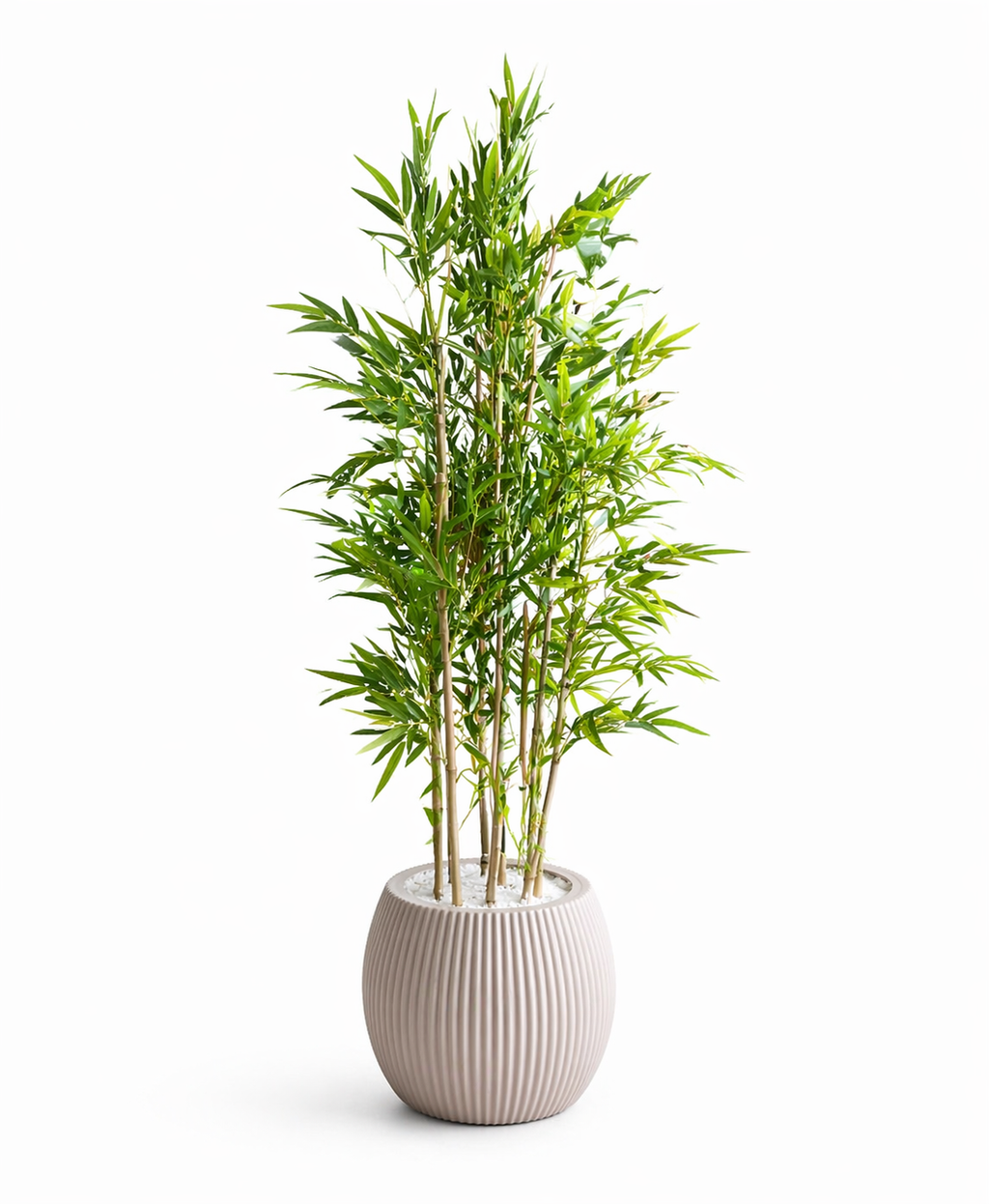 Nomad Bamboo