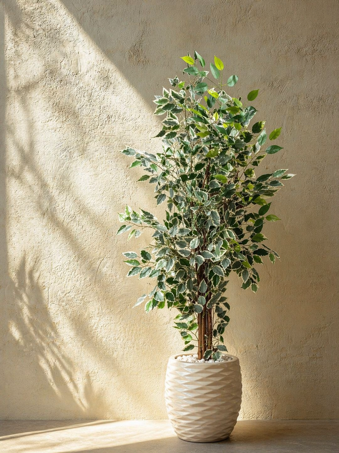 Luma Palm
