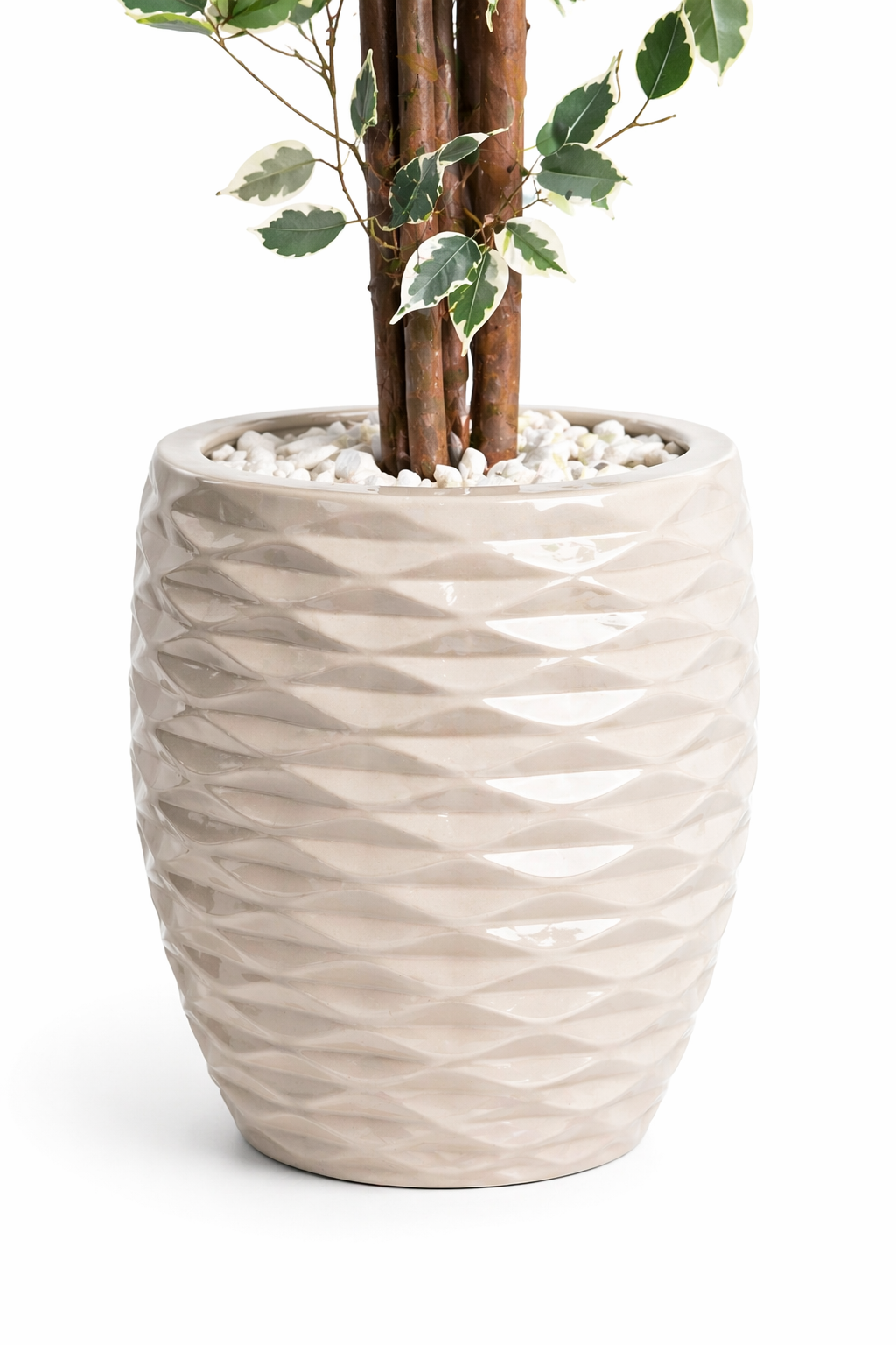 Luma Palm