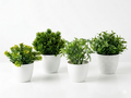 Set of 4 of ORO mini Pots